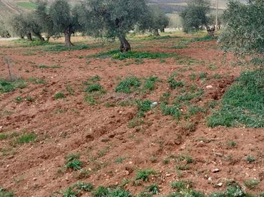 Terreno rustico in vendita a La Malahá