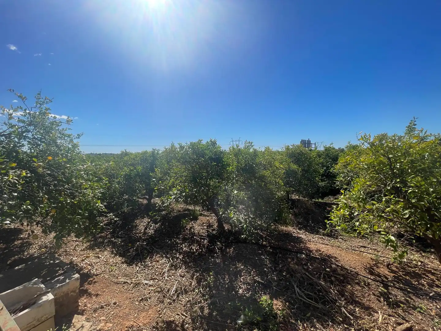Grundstücke zum Verkauf in Castellón de la Plana / Castelló de la Plana