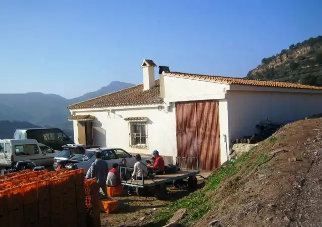 Vista exterior de Finca rústica en venda en Algímia de Alfara