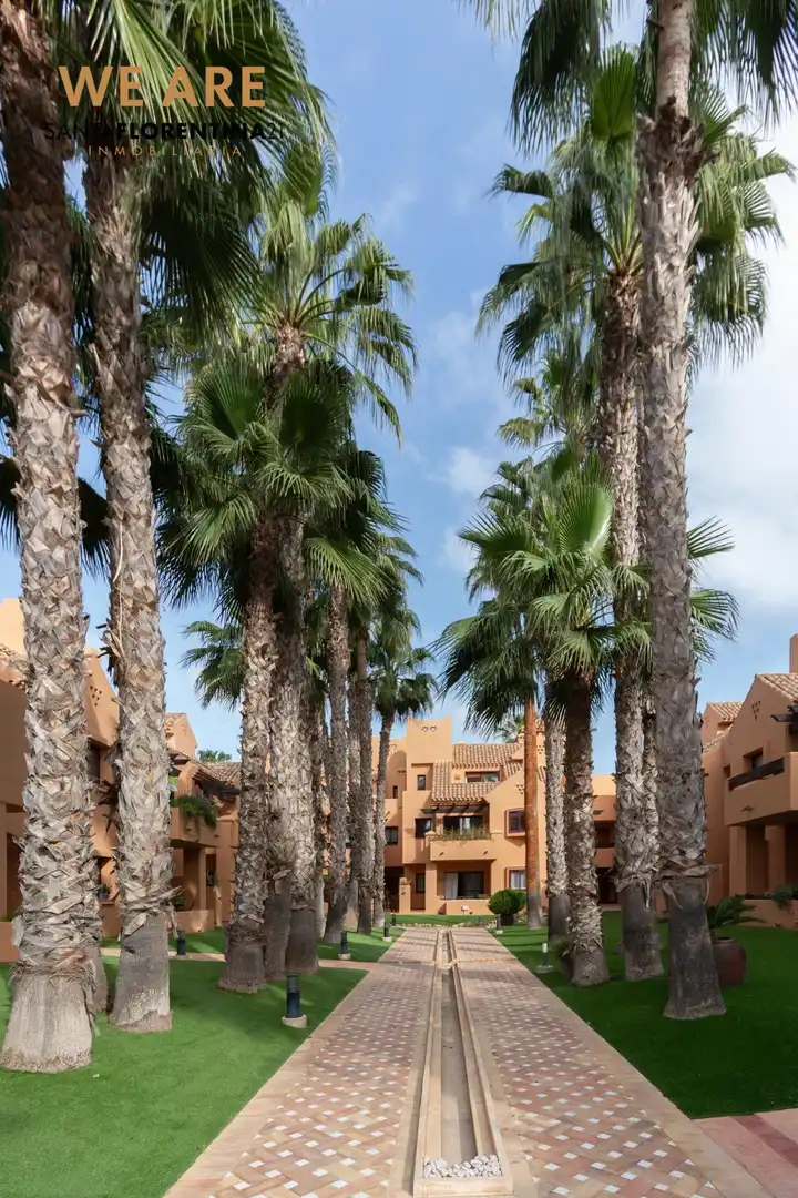 Vista exterior de Àtic en venda en Los Alcázares amb Aire condicionat, Jardí privat i Terrassa