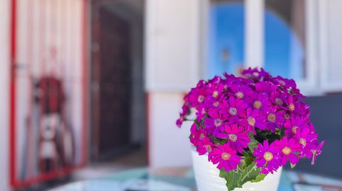 Photo 4 of Detached homes for sale in Cabo Cervera, Torrevieja