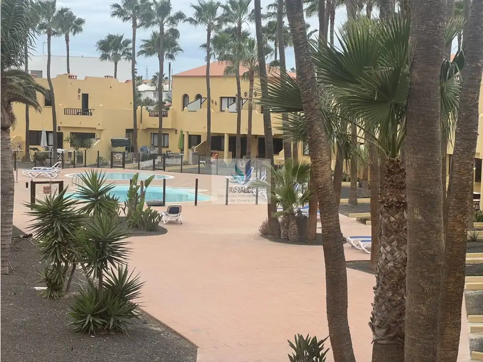Vista exterior de Apartament en venda en La Oliva amb Terrassa, Piscina i Moblat