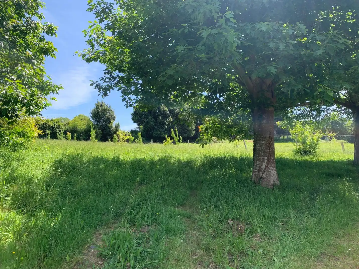 Casa o chalet en venta en Neda con Calefacción y Amueblado
