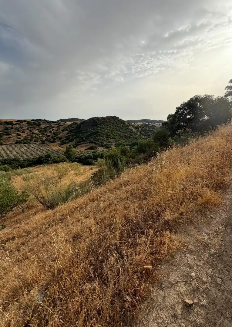 Rural land for sale in Morón de la Frontera, imagen 20
