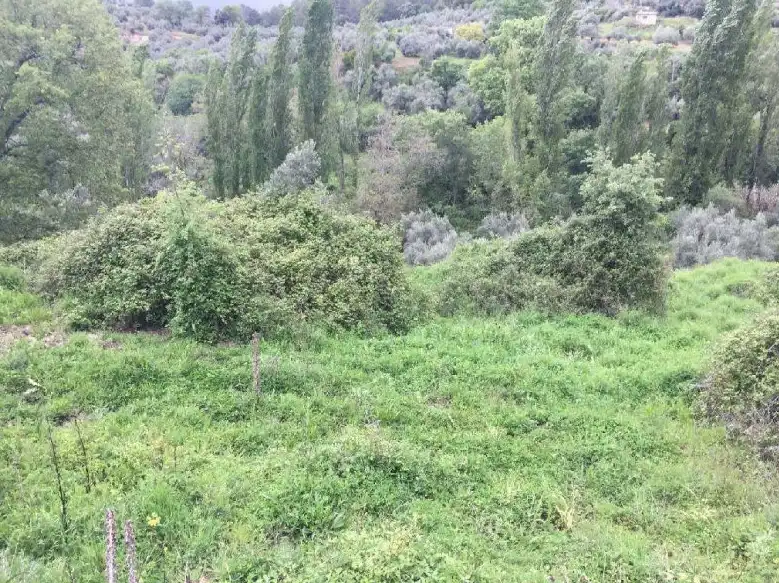 Terreno rustico in vendita a Cotillas, imagen 3