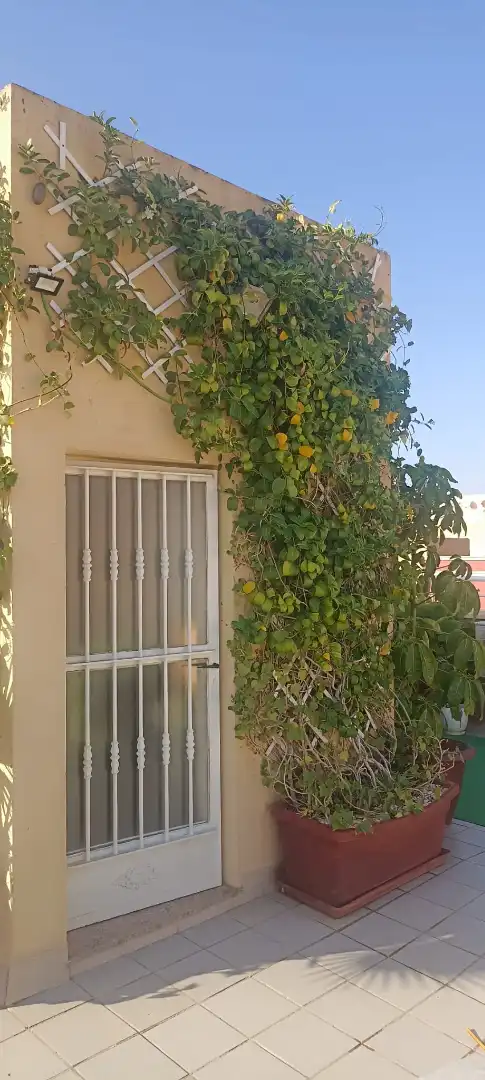Casa in vendita a La Cañada de San Urbano, imagen 9