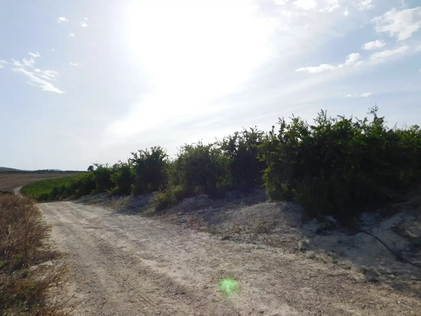 Terreno residencial en venta en San Miguel de Salinas, imagen 7
