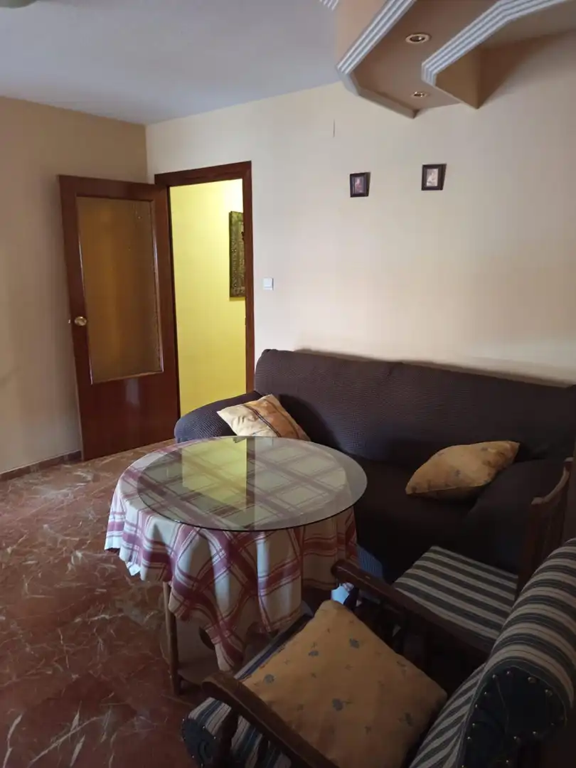 Sala d'estar de Pis de lloguer en Granada amb Moblat i Balcó