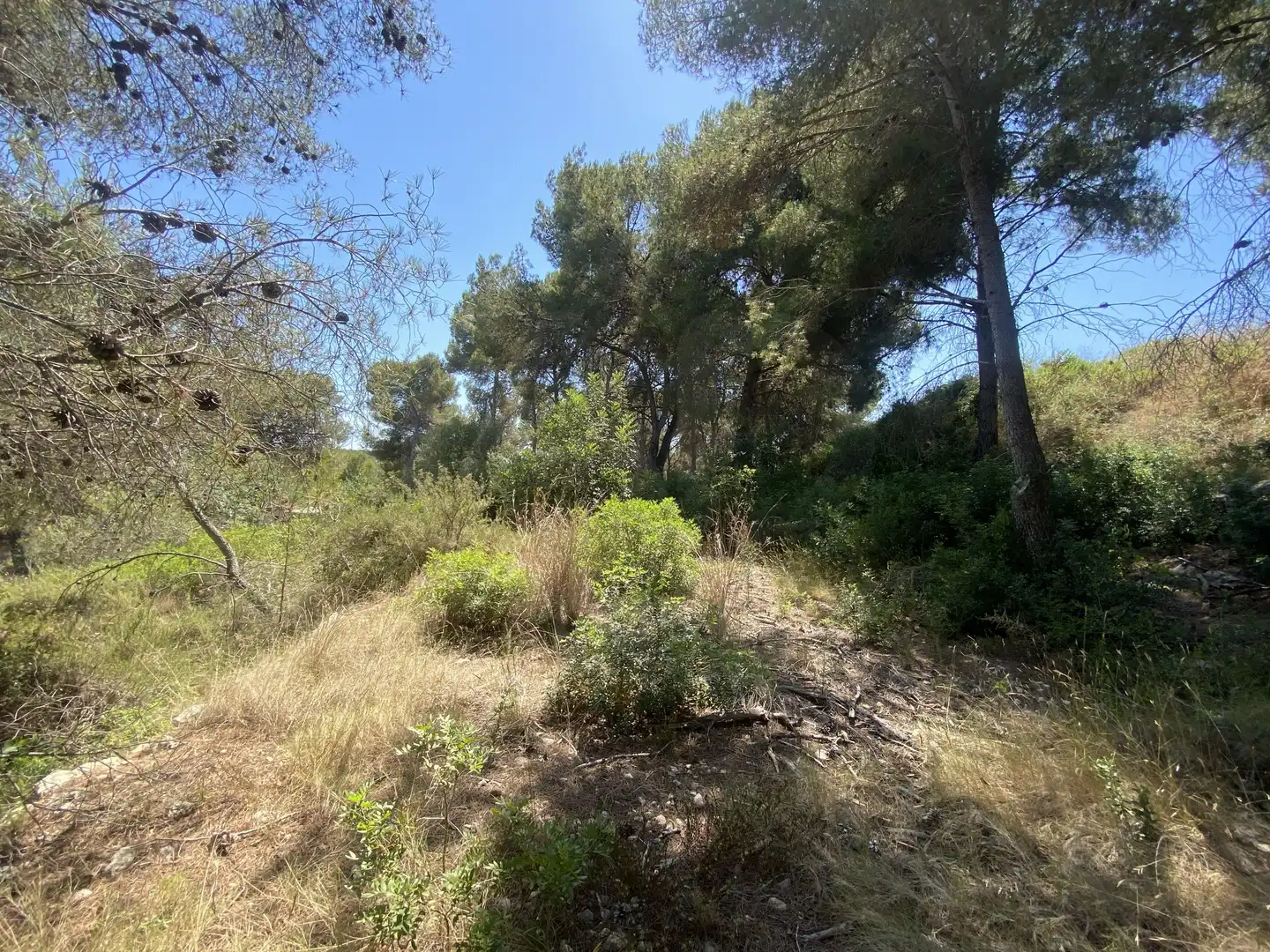 Residential land for sale in Urbanitzacions de Llevant, imagen 18