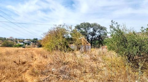 Photo 3 of Land for sale in Alquería - Torrealquería, Alhaurín de la Torre