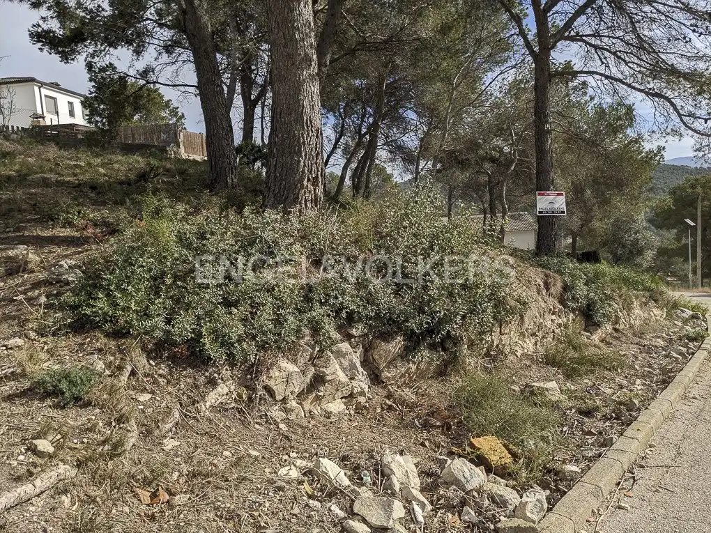 Terreno residencial en venta en Canyelles, imagen 2
