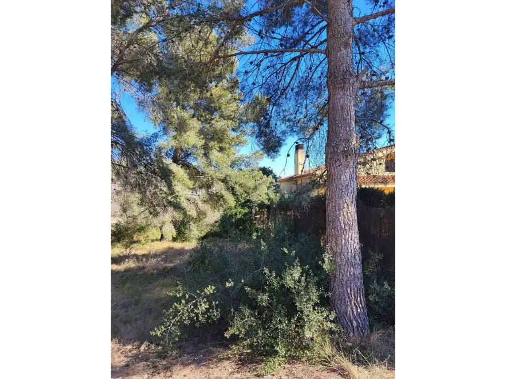 Terreno residencial en venta en Calle Ceps Dels, imagen 9