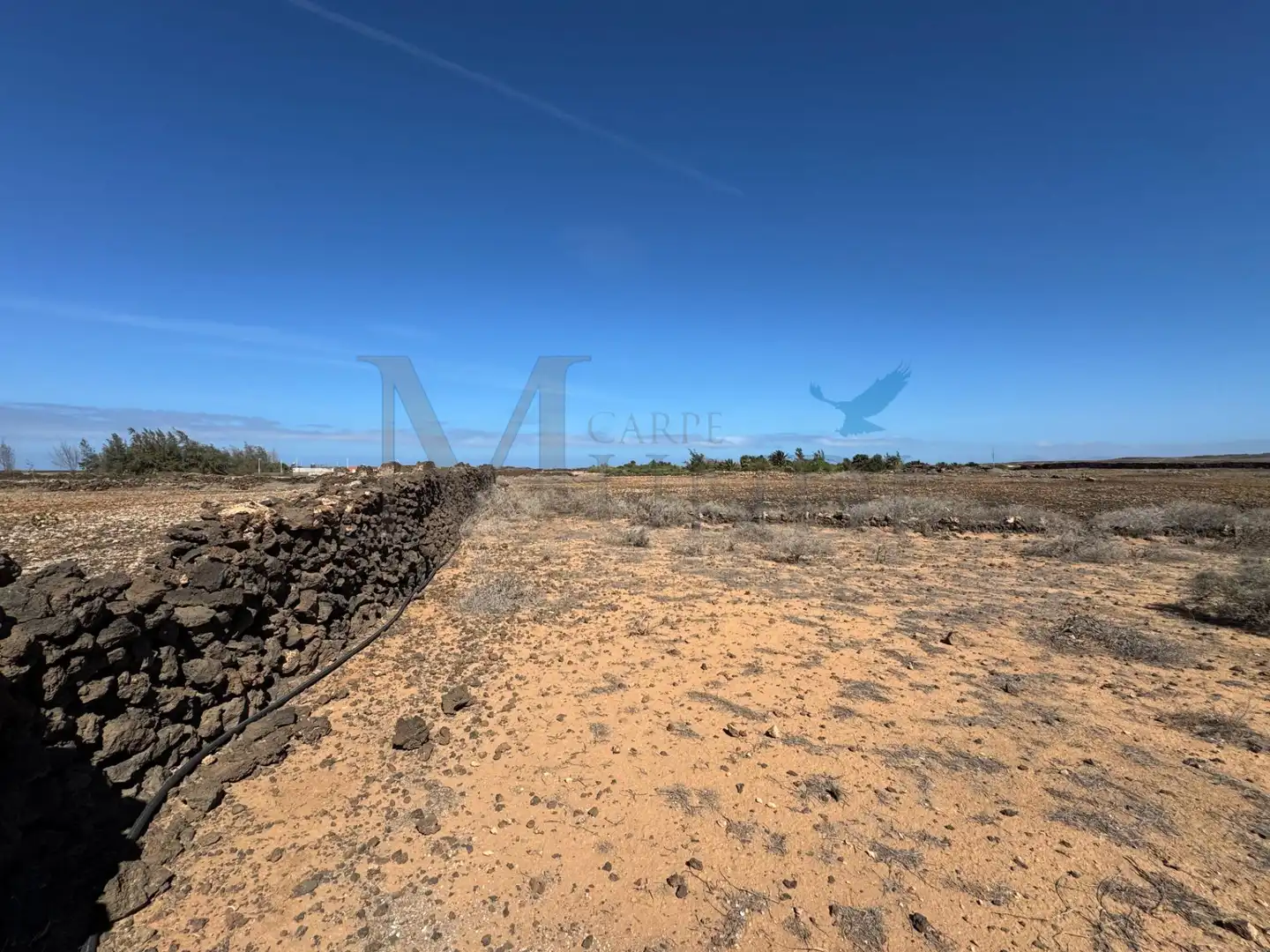 Land for sale in La Oliva