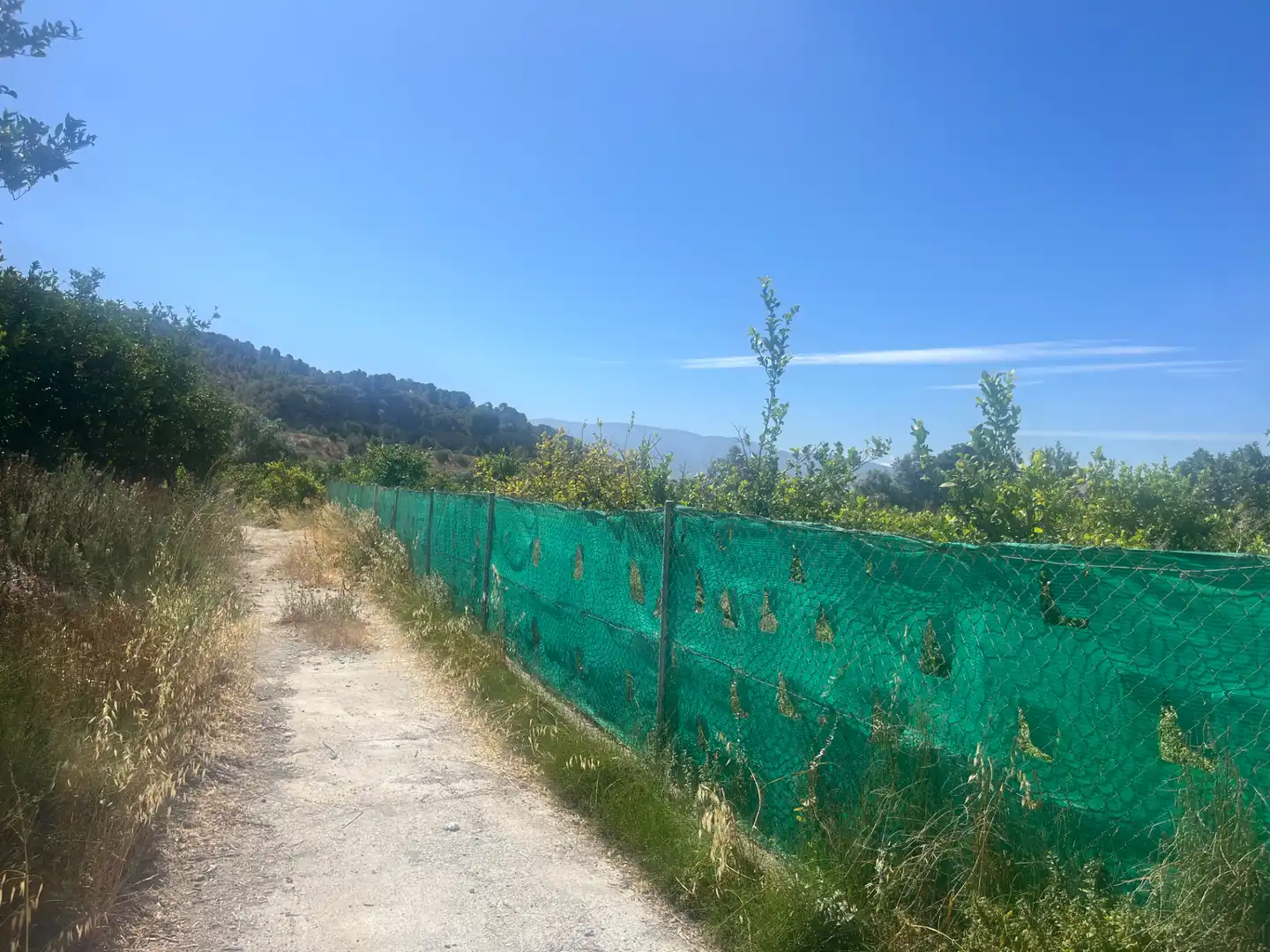 Rustikales Grundstück zum Verkauf in Calle Azahar, imagen 20