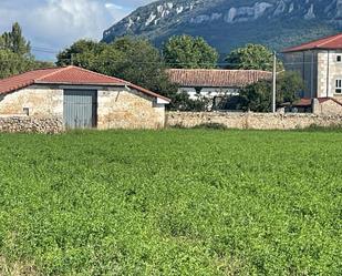 Casa o xalet en venda en Merindad de Montija amb Jardí privat