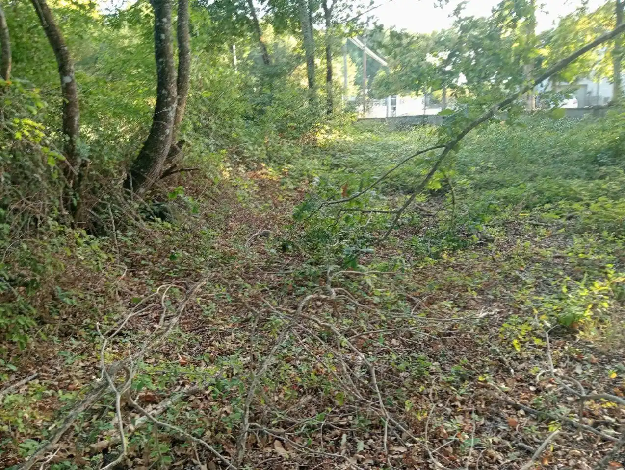 Terreni e lotti in vendita a Nogueira de Ramuín, imagen 16