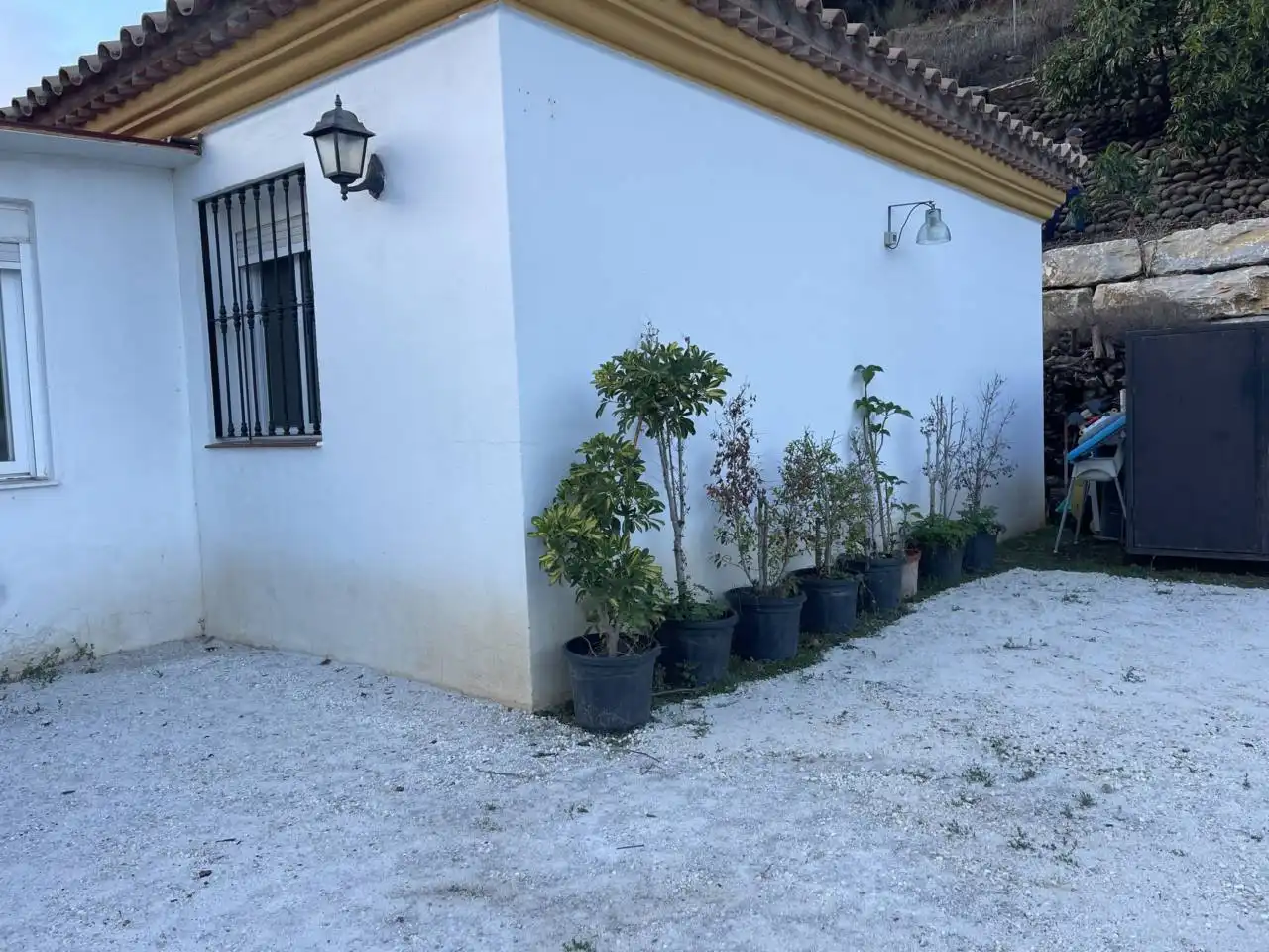 Jardí de Finca rústica en venda en Estepona amb Aire condicionat, Calefacció i Jardí privat