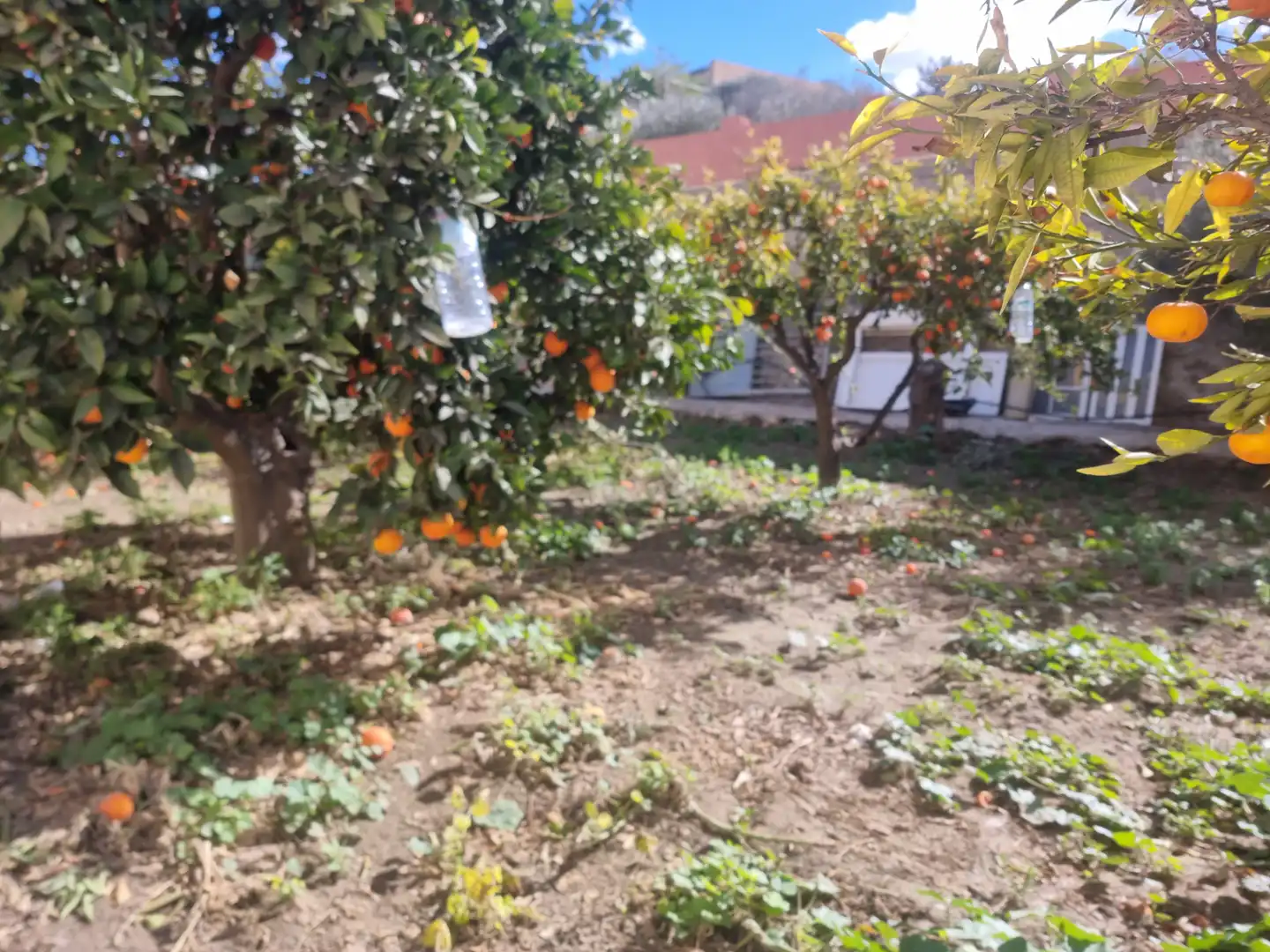 Finca rústica en venta en Pechina con Aire acondicionado, Calefacción y Jardín privado