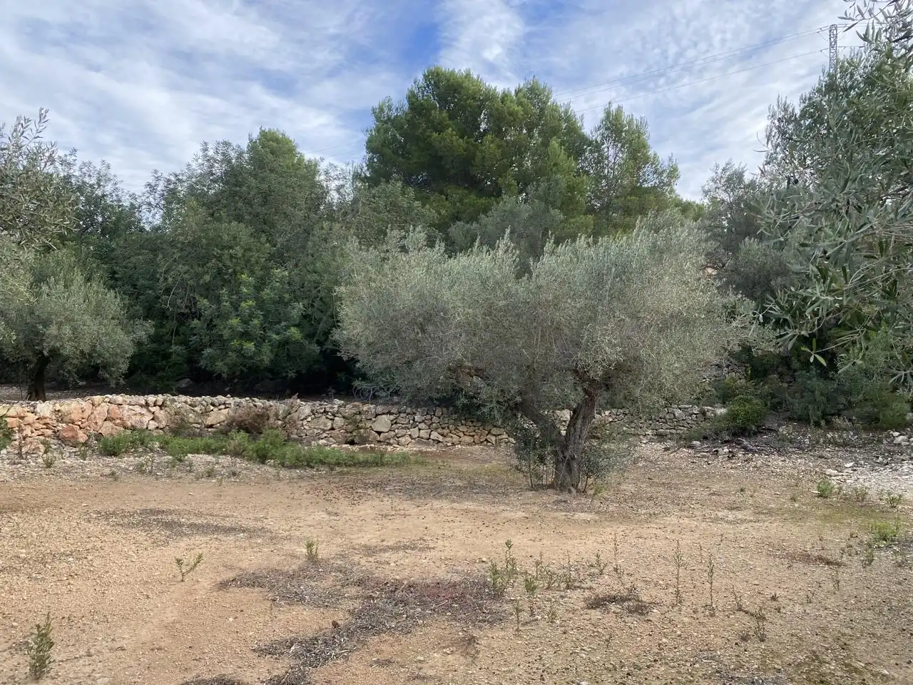 Terreno rustico in vendita a Partida Aguila, imagen 9