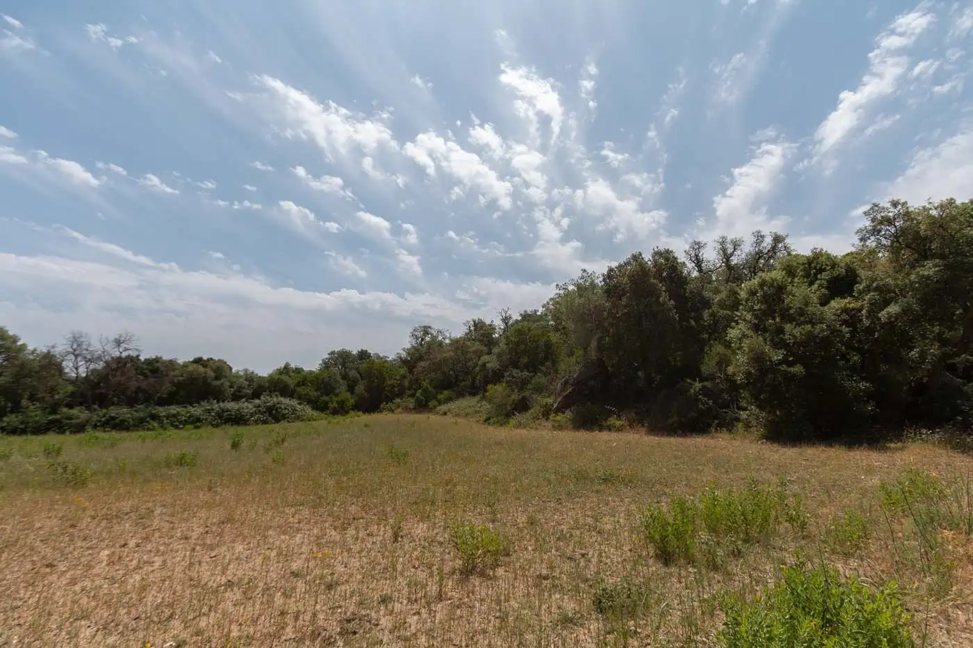 Finca rústica en venta en Can Tallades, Poble
