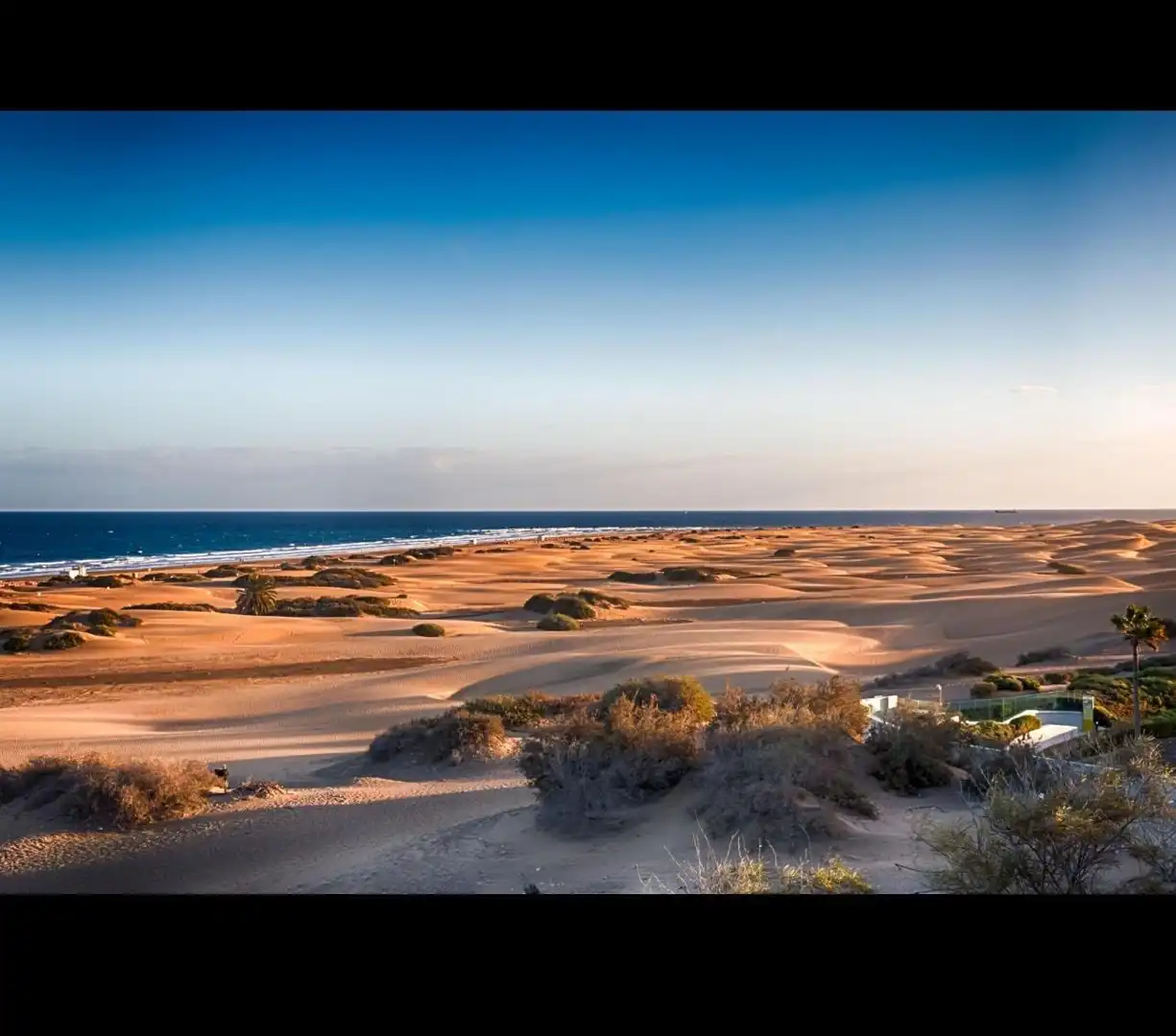 Vista exterior de Local de lloguer en Playa del Inglés
