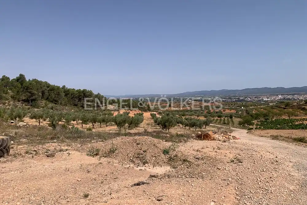 Lands and plots for sale in Requena, imagen 24