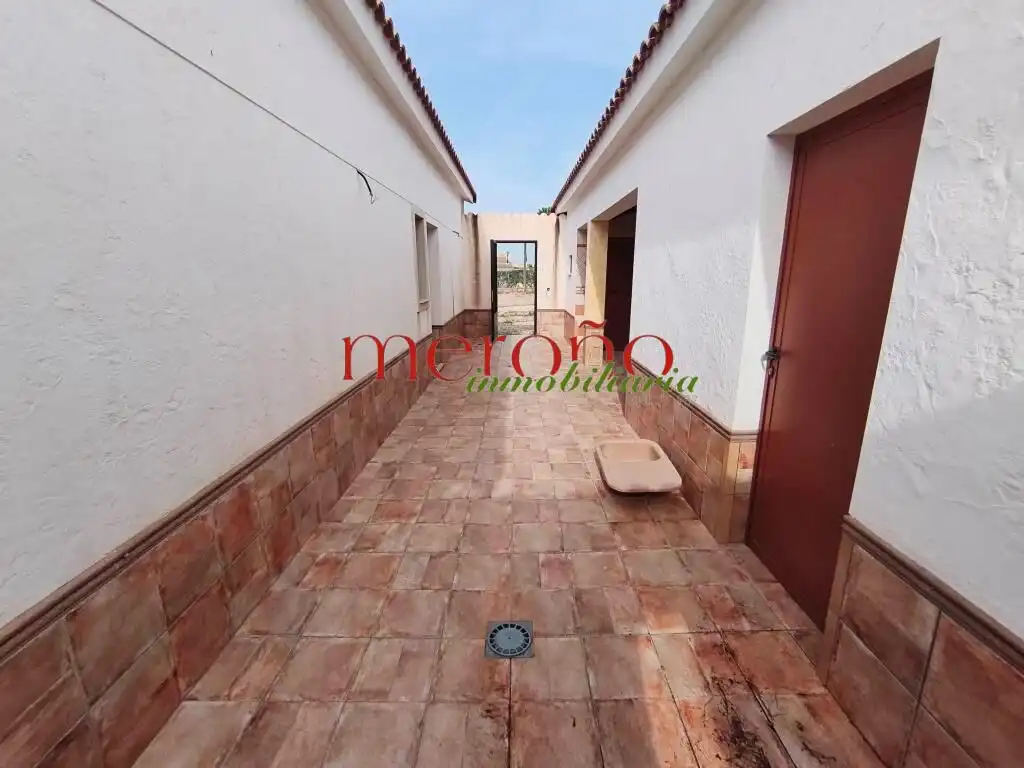 Terraza de Casa o chalet en venta en Elche / Elx con Terraza