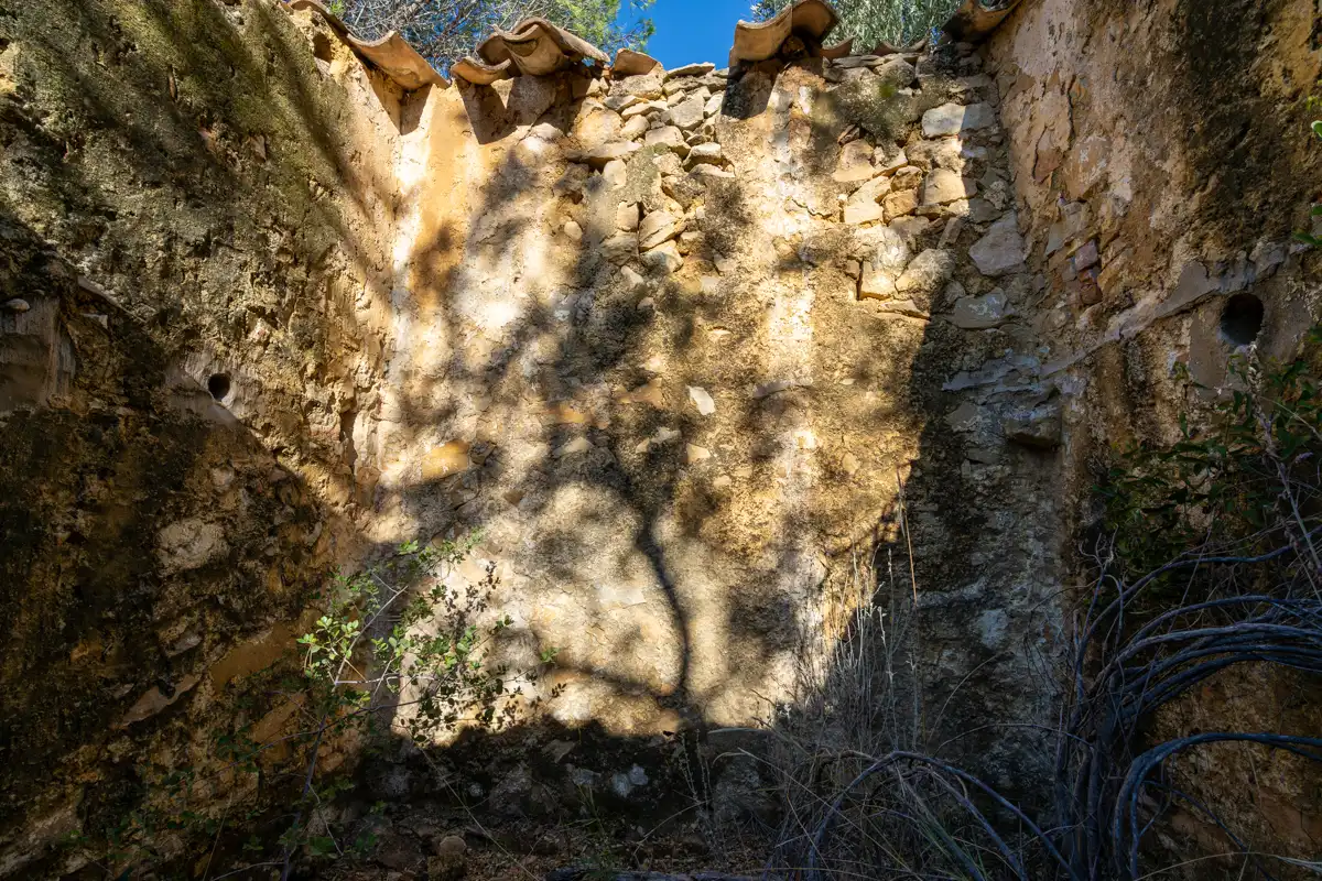 Terreny rústic en venda a Camí de la Potra de Pino 28, imagen 15