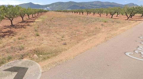 FINCA RUSTICO SECANO EN VILLAFAMES ACCESO POR CAMINO ASFALTADO, immagine 5