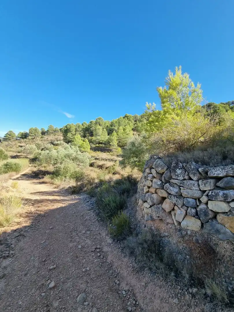 Lands and plots for sale in poligono 7 parcela 274, imagen 16