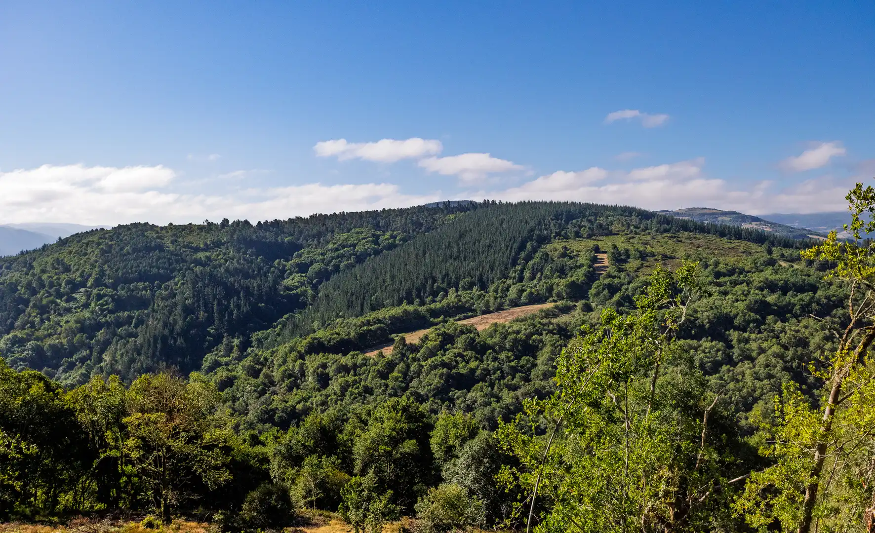Finca rústica en venda en Becerreá
