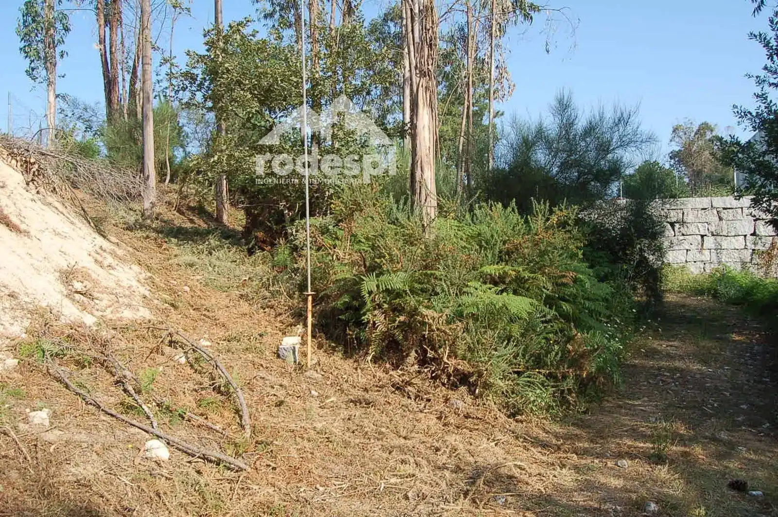 Rural land for sale in Salvaterra de Miño, imagen 8