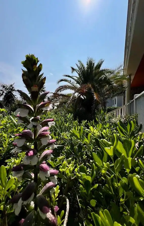 Jardí de Casa o xalet en venda en Castellnou de Bages amb Jardí privat, Terrassa i Traster