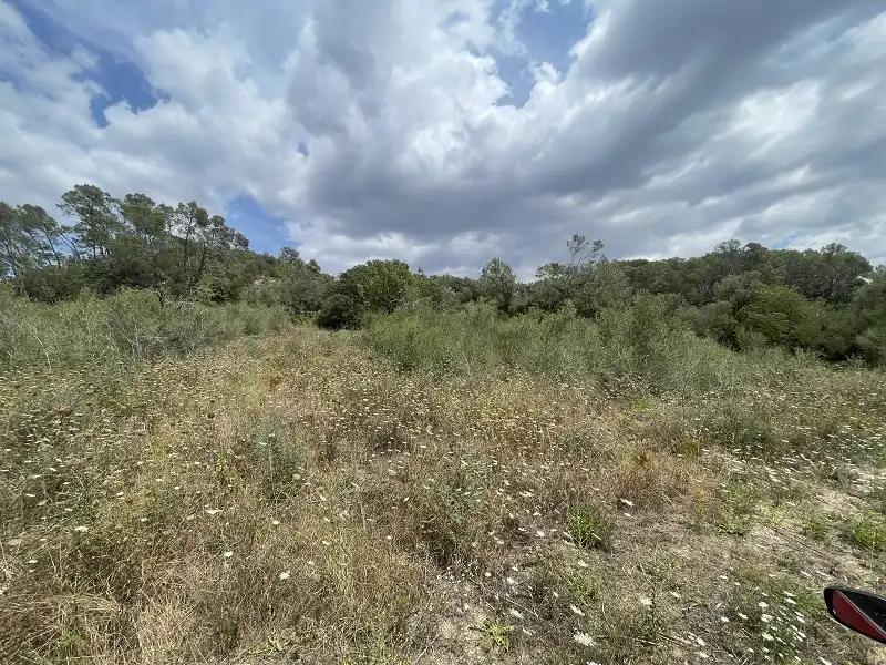 Residential land for sale in Costitx, imagen 3