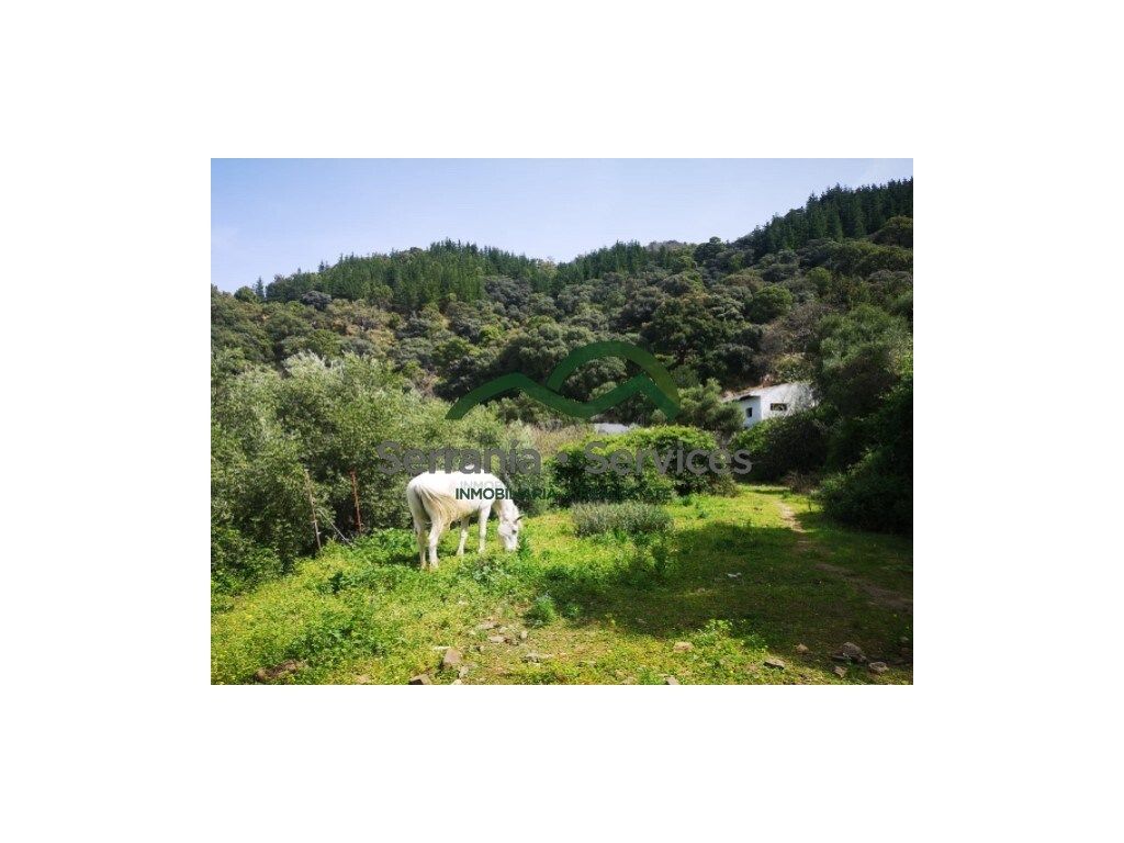 Exterior view of Country homes for sale in Jubrique