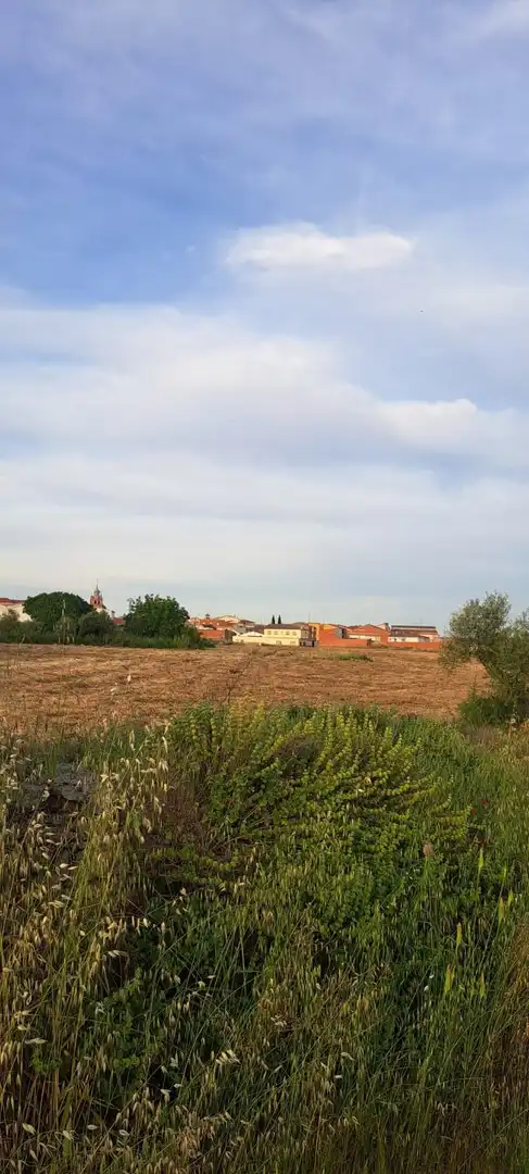 Land for sale in El Puente del Arzobispo
