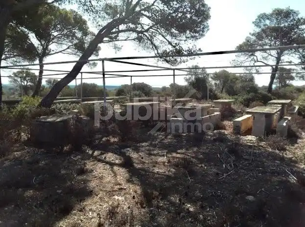 Finca rústica en venta en Carretera 39°21'47.0\"N 2°47'26.8\"E, Cala Pi - Vallgornera