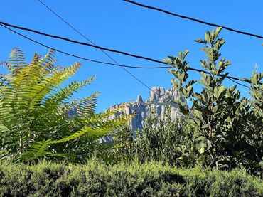 Terrain rustique à vendre à Camino Estació DE VACARISSES