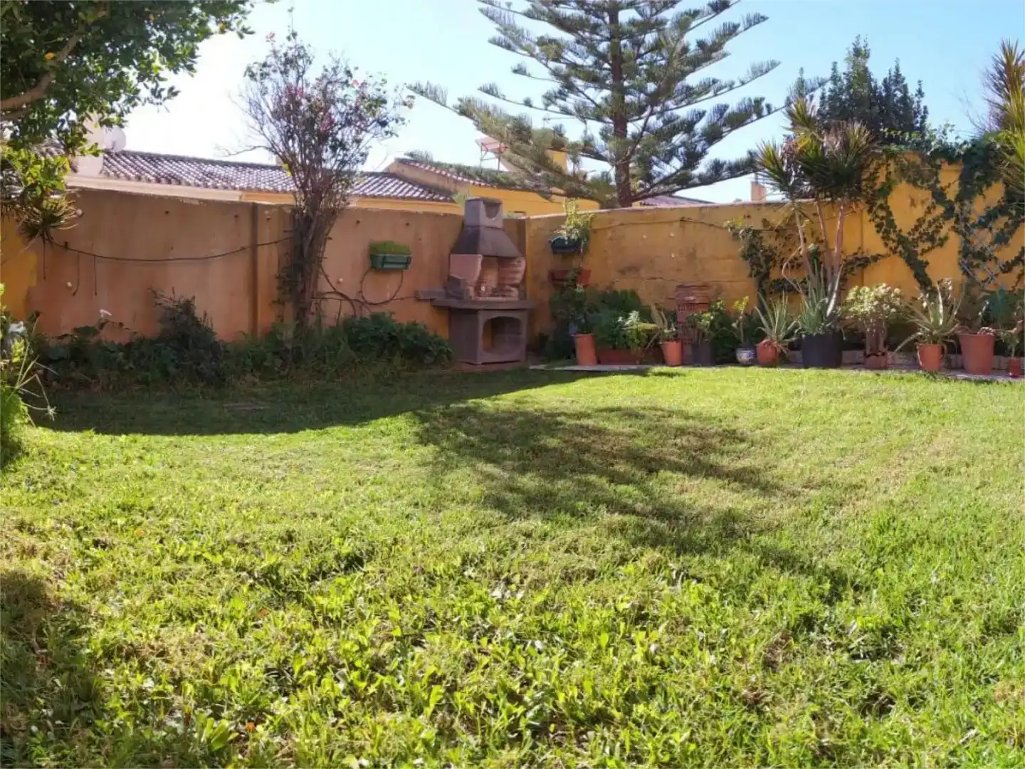 Jardín de Casa o chalet en venta en El Zabal - Santa Margarita