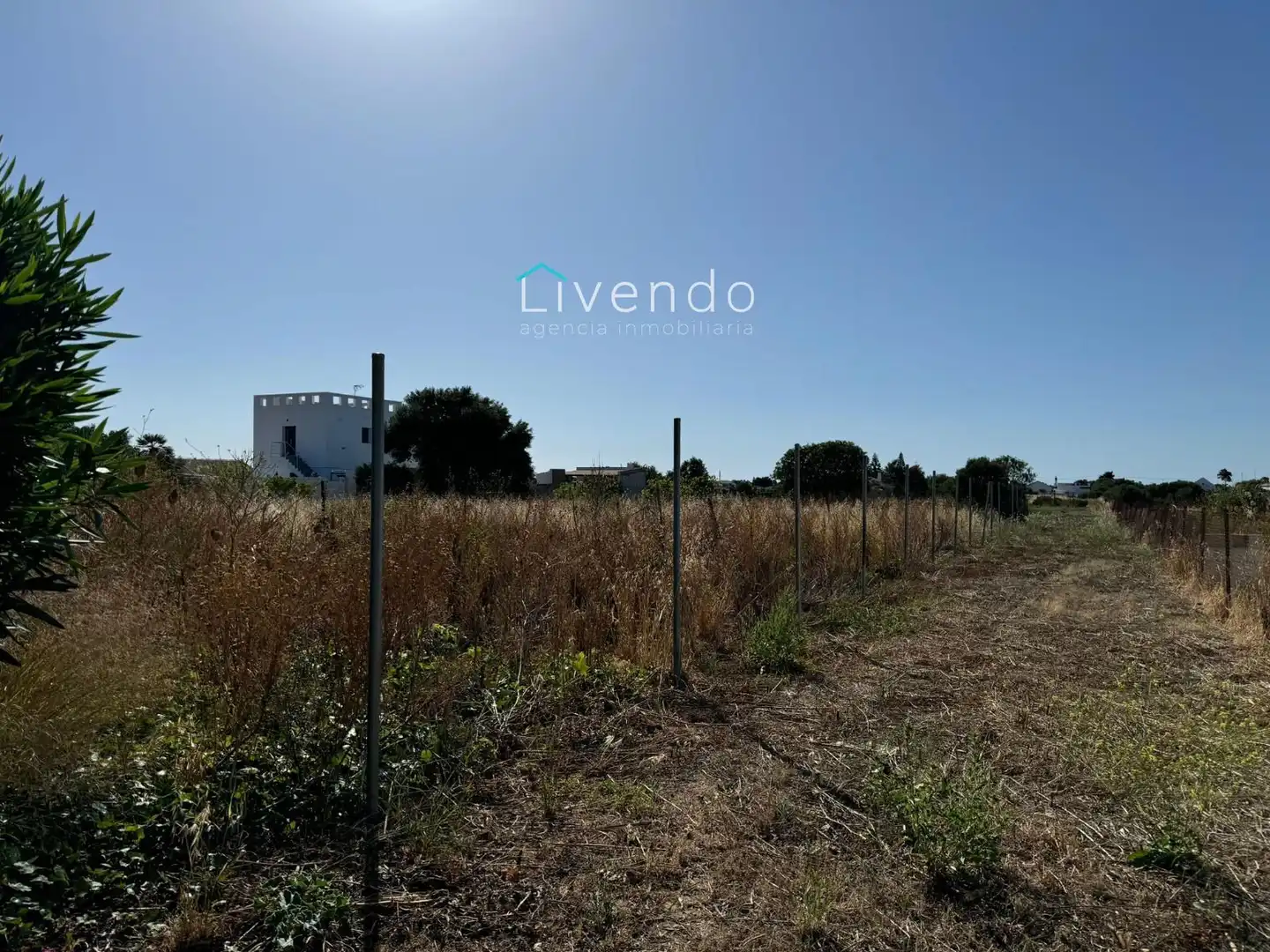 Terreni e lotti in vendita a El Palmar, imagen 5