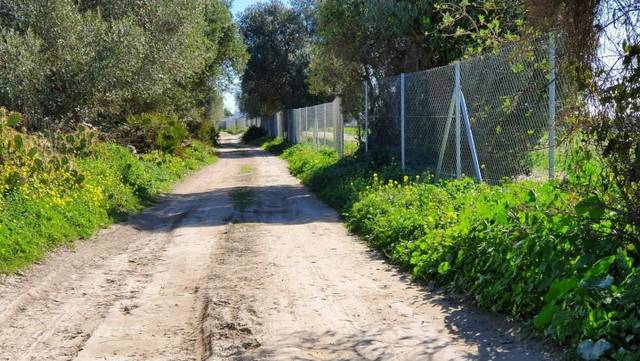 Terreno en Venta en Calle EL CERERO en El Almedral