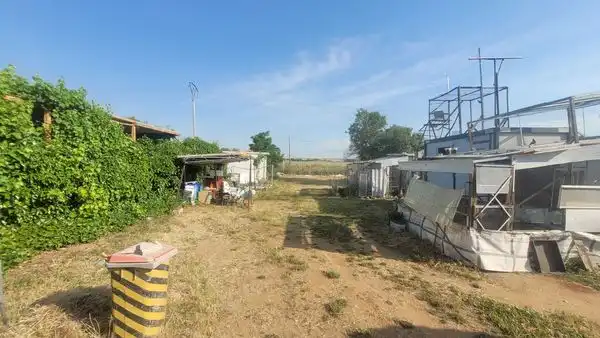 Rural land for sale in Calle Lavanda, imagen 5