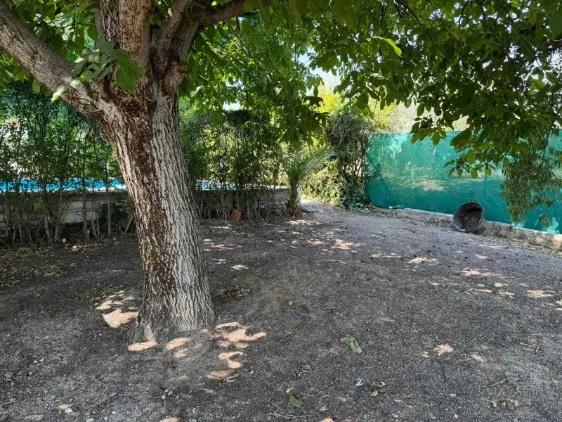Finca rústica en venta en Lucena