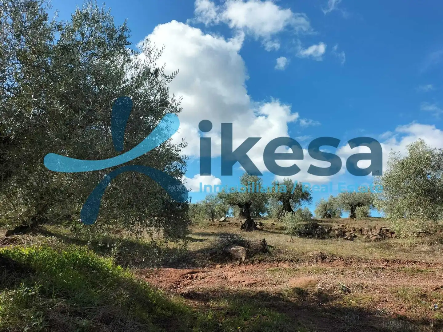 Rustikales Grundstück zum Verkauf in Montoro, imagen 11