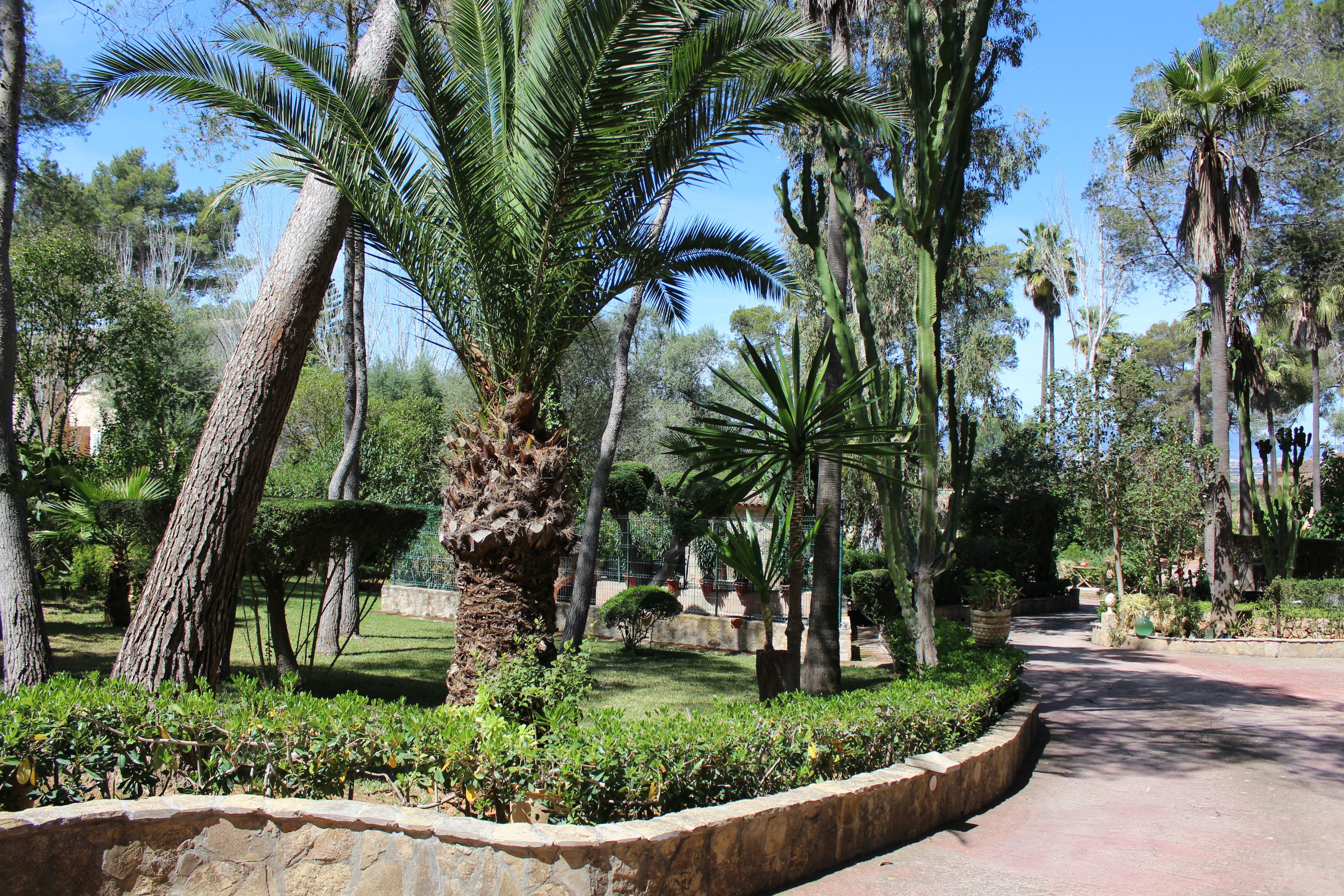 Jardí de Casa o xalet en venda en  Palma de Mallorca amb Aire condicionat, Calefacció i Jardí privat