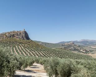 Jardí de Finca rústica en venda en Moclín amb Piscina