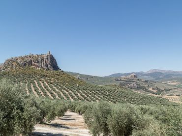 Casa rustica con piscina in vendita a Moclín