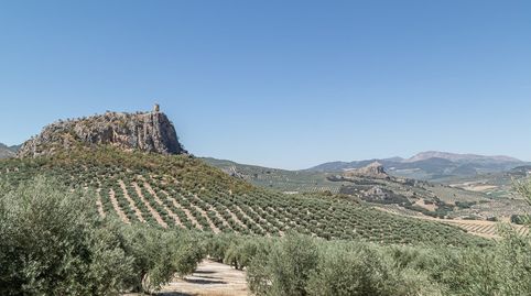 Finca Rústica en venta en Moclín Granada con cortijo histórico y olivar.