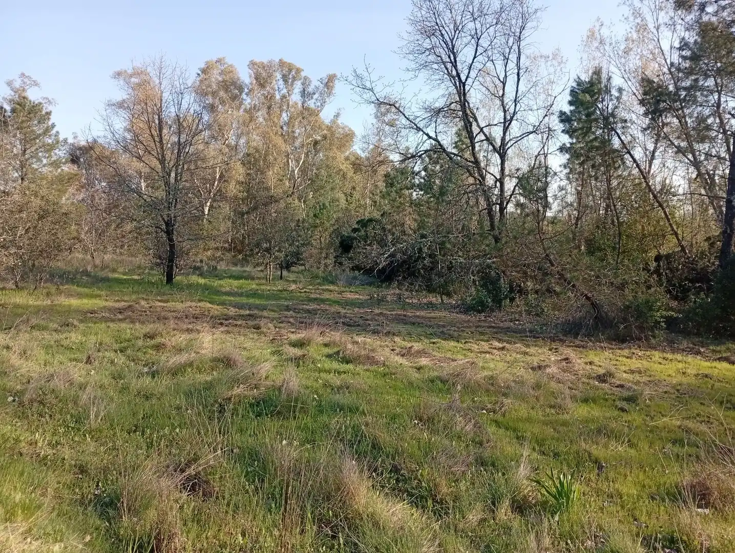 Terreni e lotti in vendita a Villanueva de la Vera, imagen 69