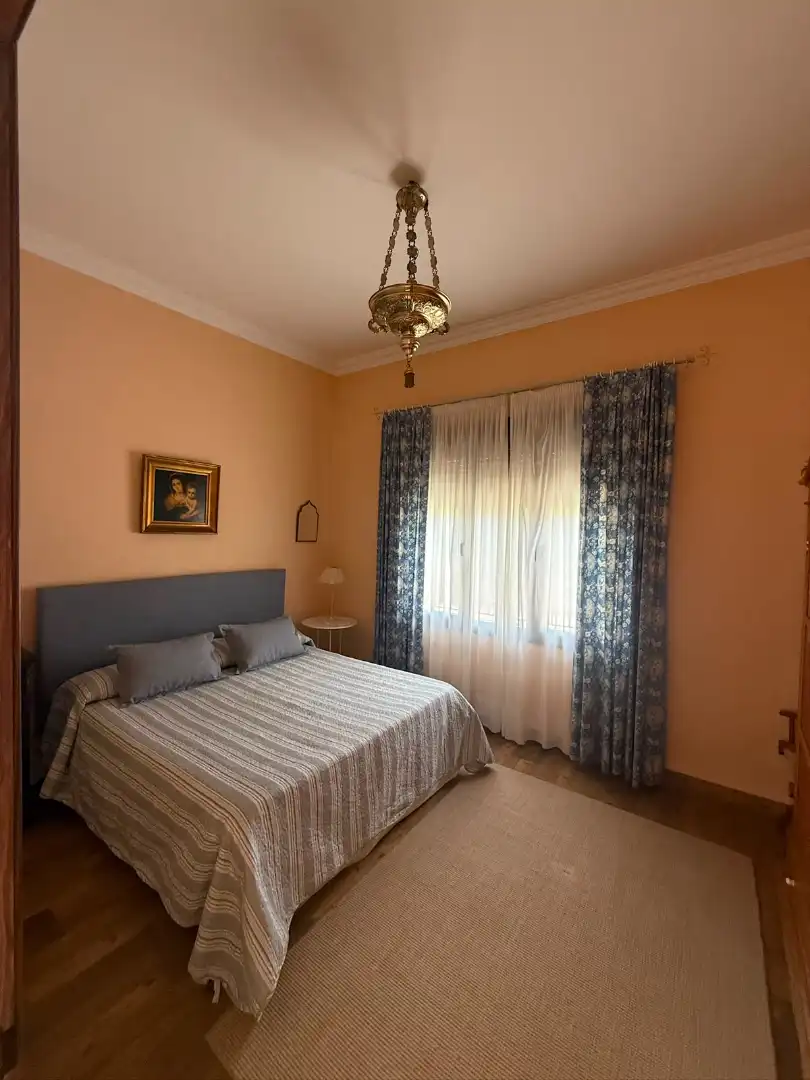 Chalet con piscina en venta en Carretera Olivares, imagen 32